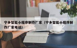 沙洋宁乡智能小程序制作厂家（宁乡智能小程序制作厂家电话）