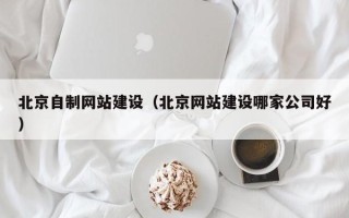 沙洋北京自制网站建设（北京网站建设哪家公司好）